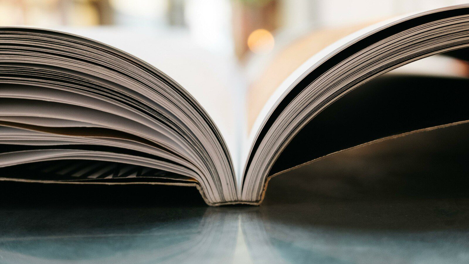 34th Annual Southern Festival of Books Nashville Tennessee