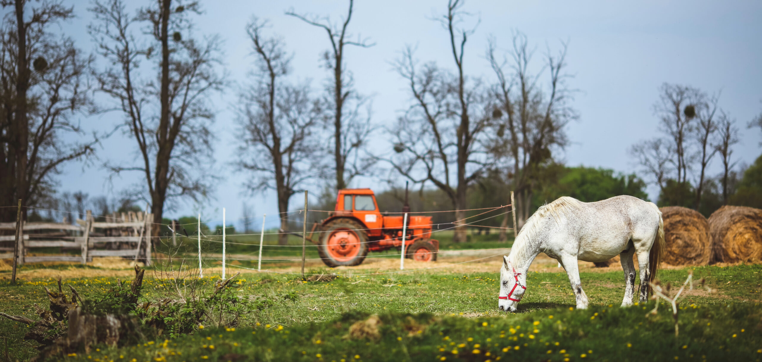 Agritourism in Williamson County TN