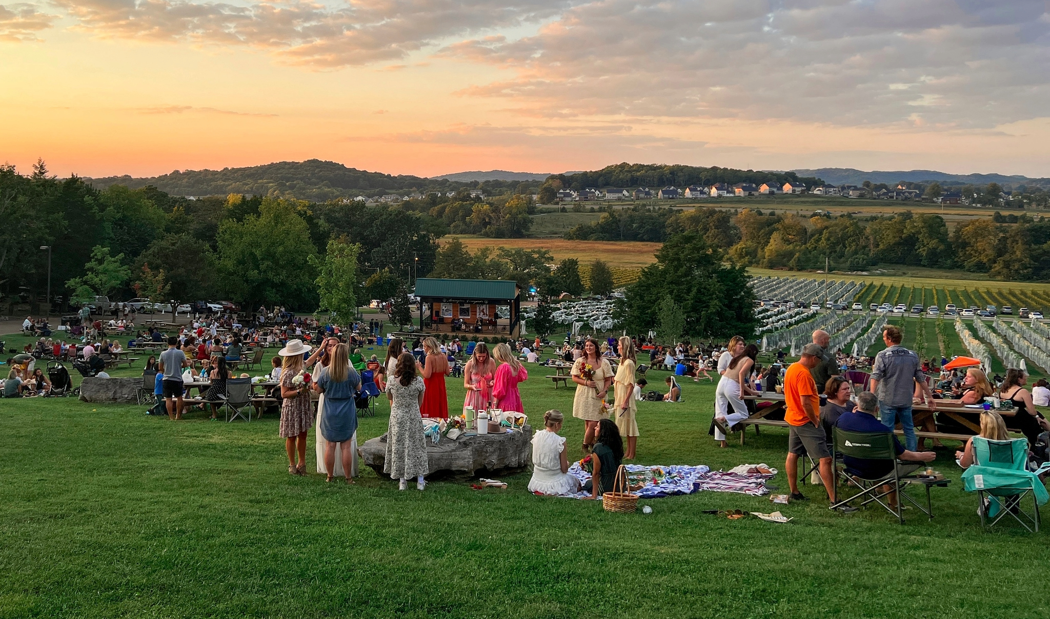 Arrington Vineyards in Arrington, TN, wine, live music and picnic areas.