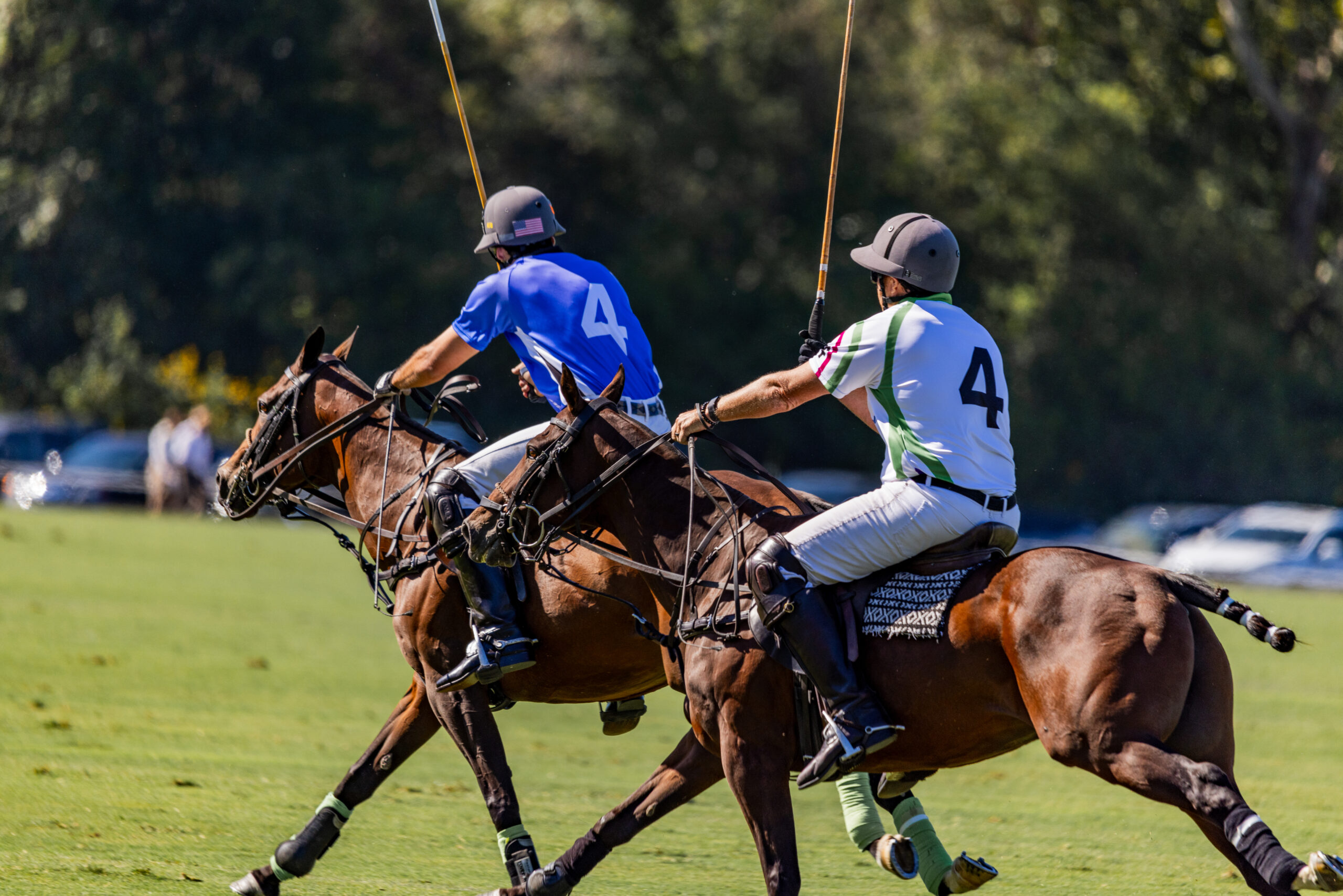 Chukkers for Charity Polo Match Franklin, TN 3