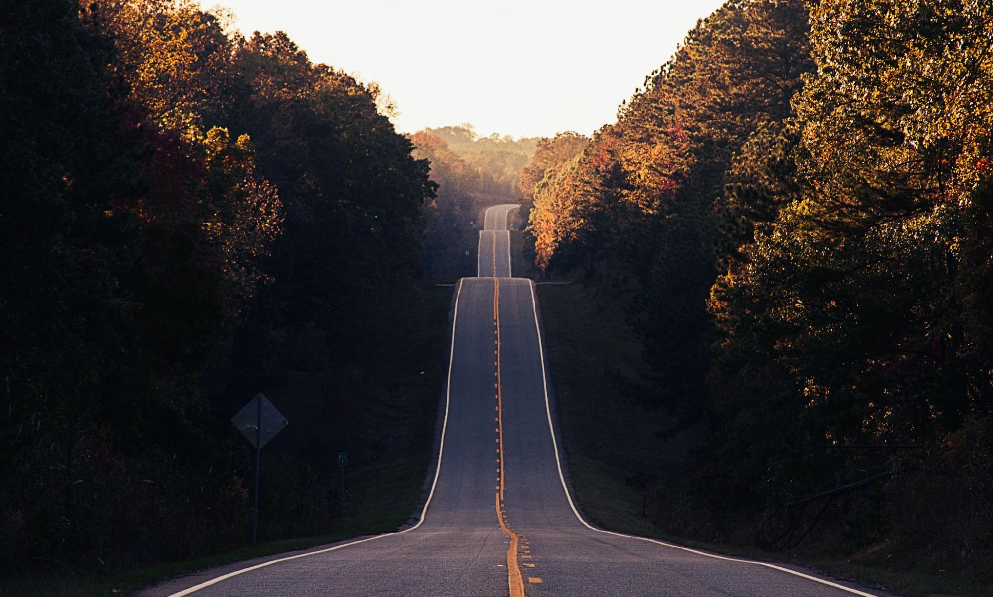 A long road through trees, enjoy fall activities in Franklin, TN and Brentwood, TN, family activities, adult activities and more!