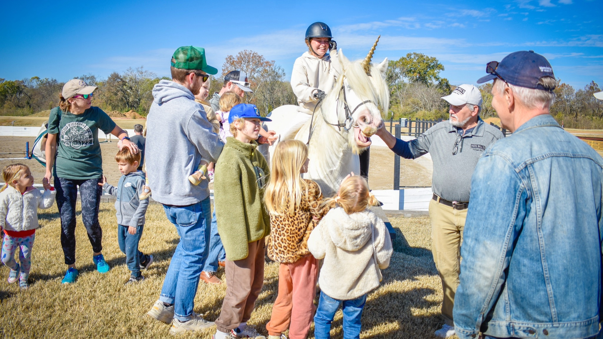 Franklin Family Day Unicorn Horse