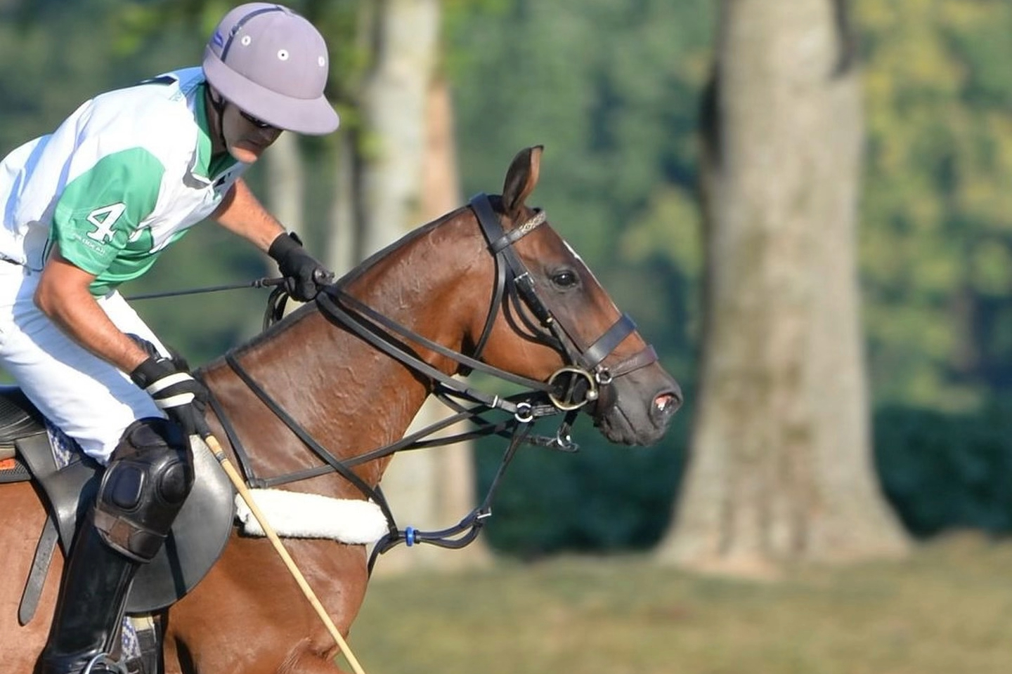 Franklin Polo Academy Franklin Williamson County TN