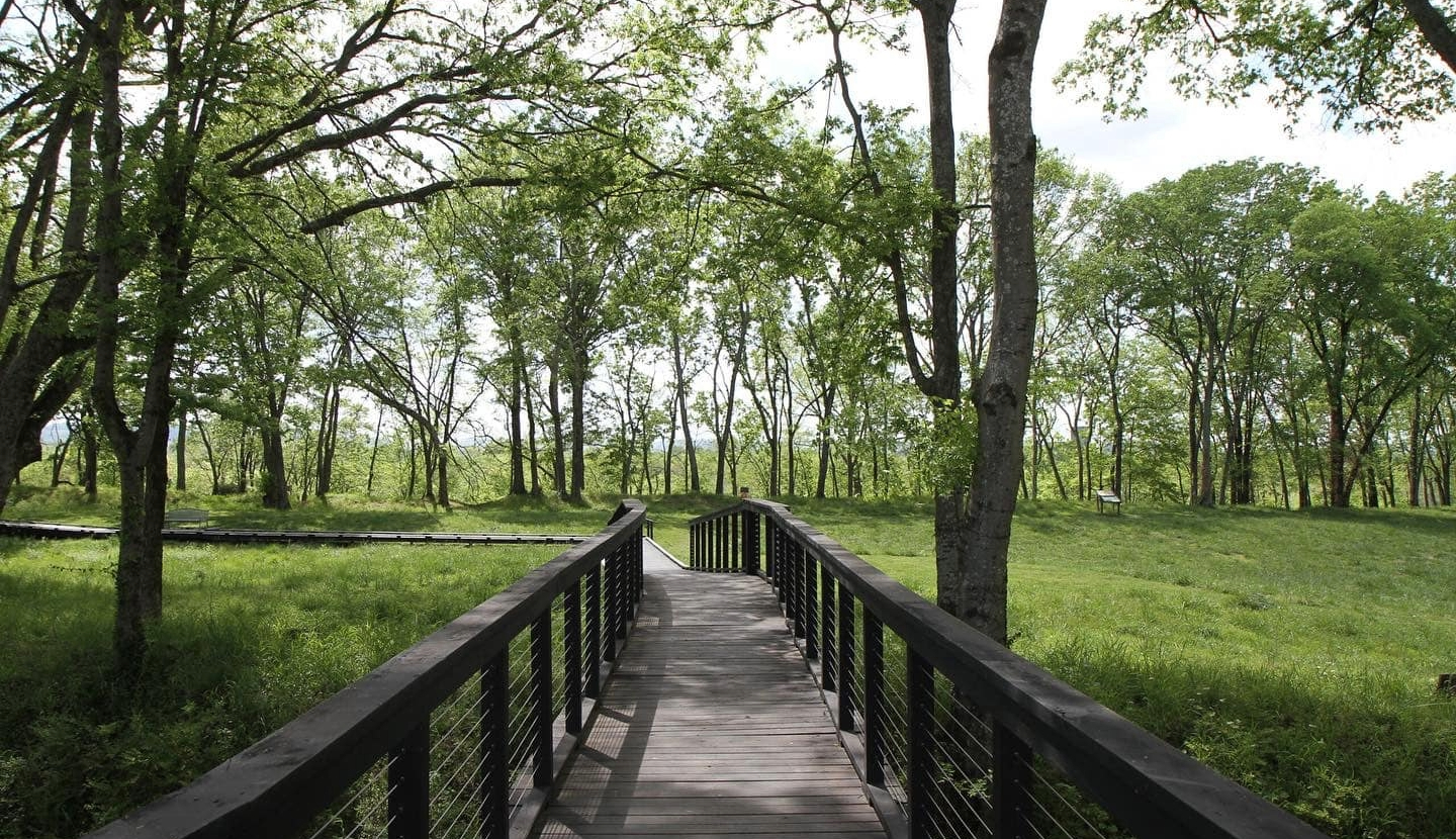 Friends of Franklin Parks Walking Trail (1)