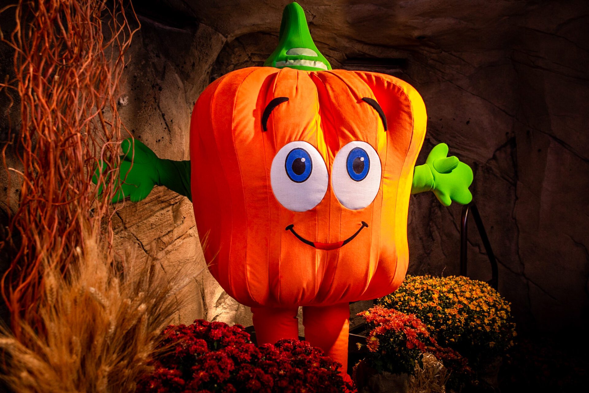 Goblins & Giggles Event Nashville, TN_Meet & Greet with Spookley the Square Pumpkin