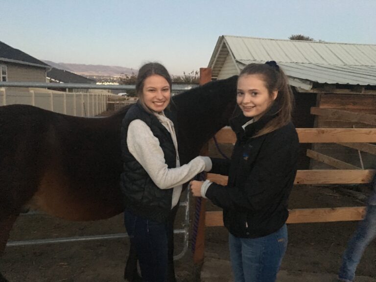 Hug A Horse Class at BellaReed Farm in Franklin, Tenn.