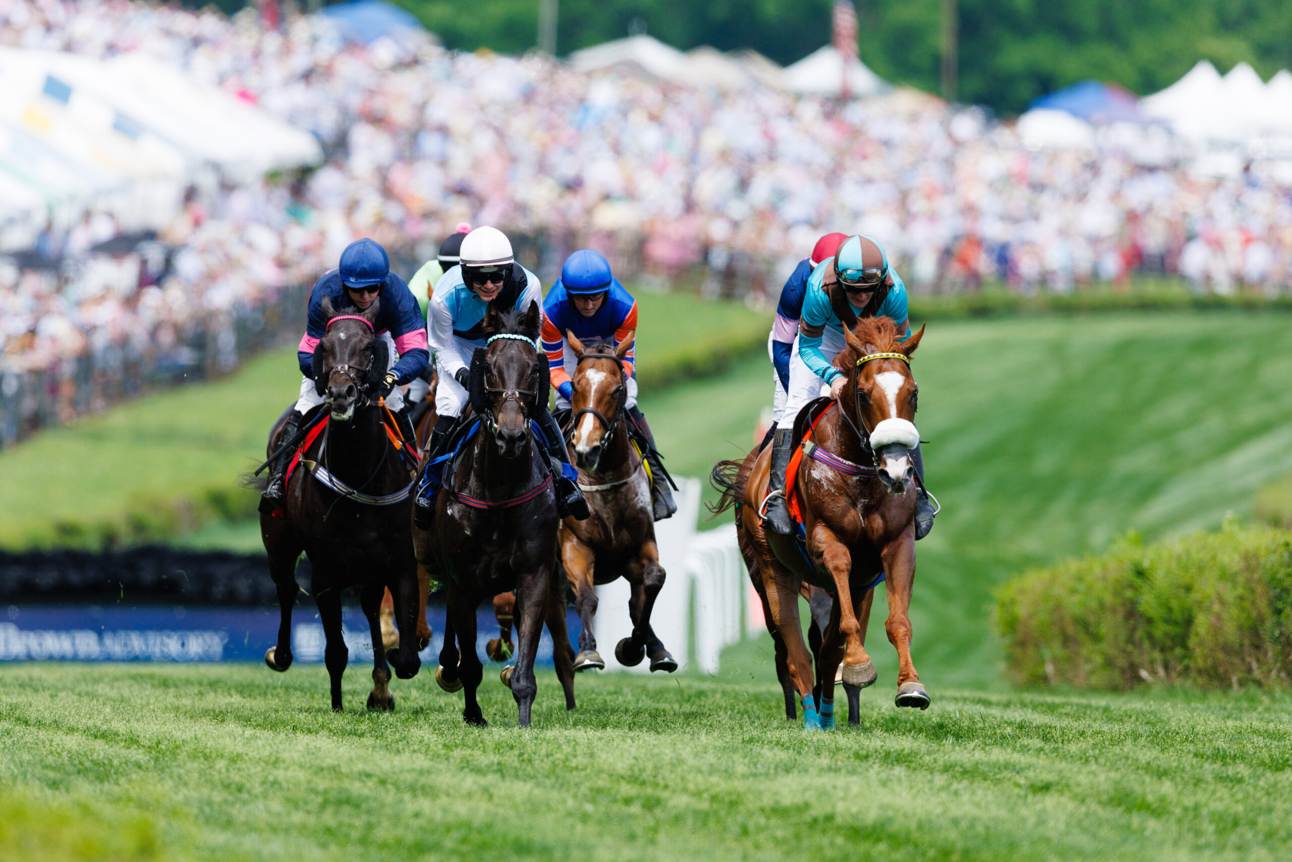 Iroquois Steeplechase Nashville, Tennessee Horse Races.