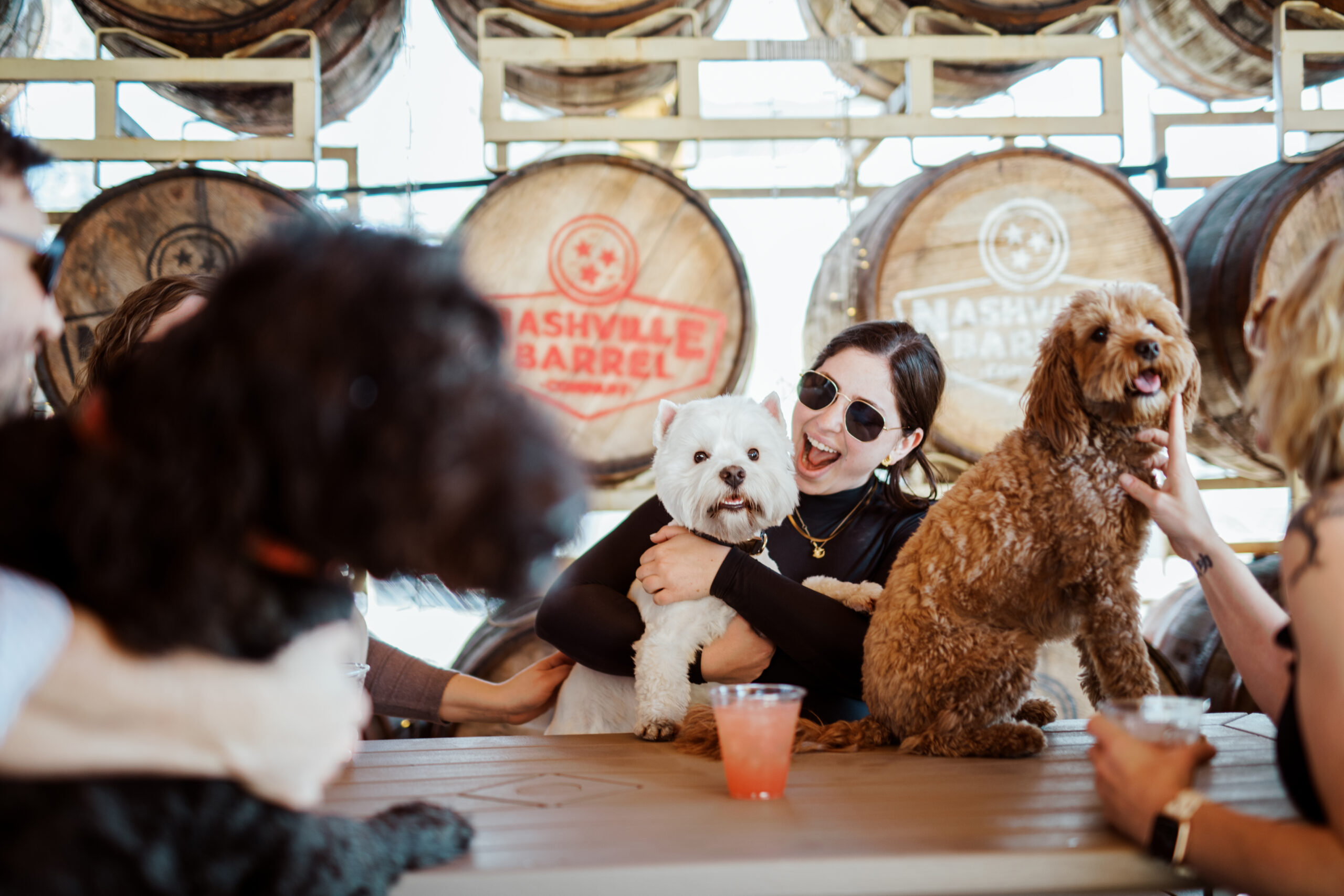 Tennessee Whiskey Trail is celebrating National Dog Month with a series of dog-friendly events at select Trail distilleries in Nashville, Franklin, Tennessee, Clarksville, Petros, Pigeon Forge, Gatlinburg and more!