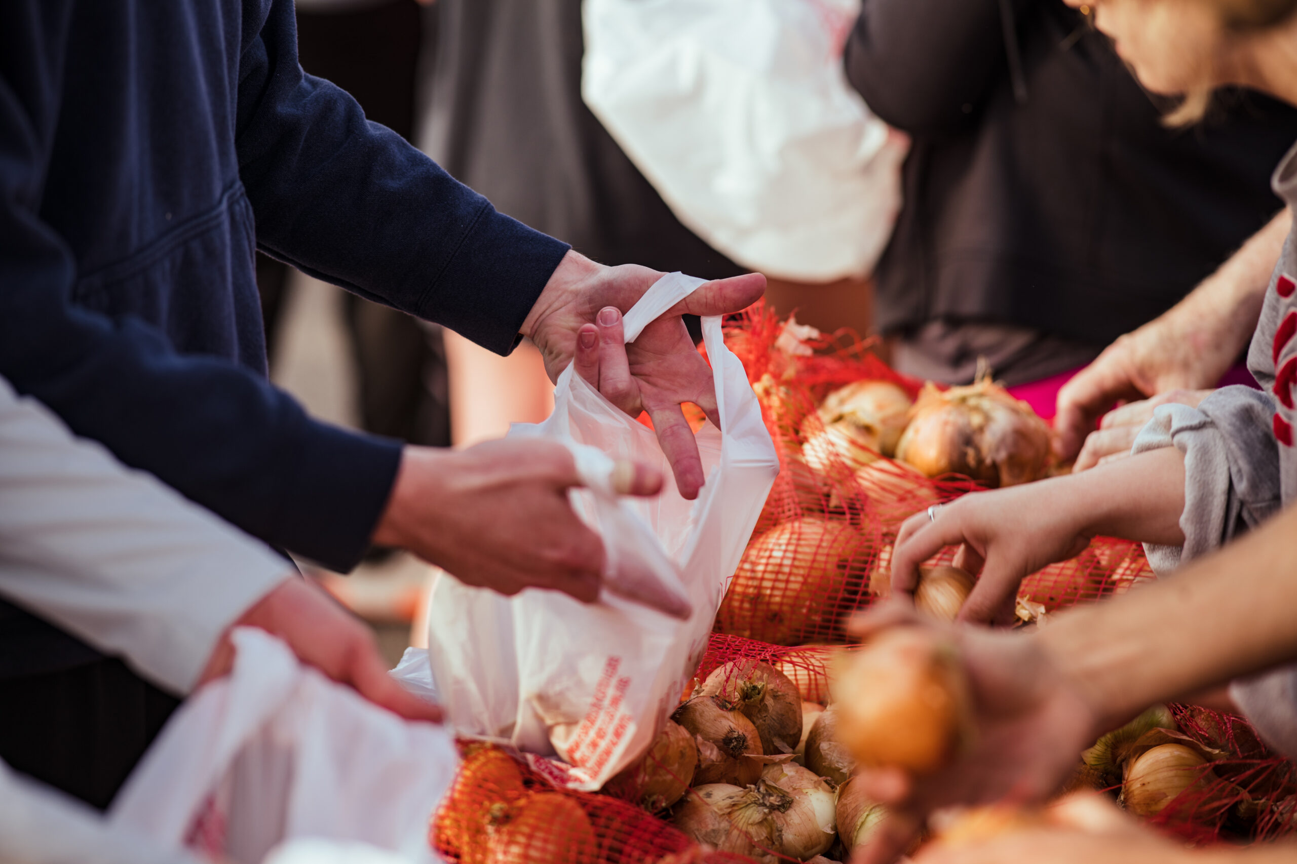 One Generation Away Distribution 3, Photo by Kris Rae Orlowski.