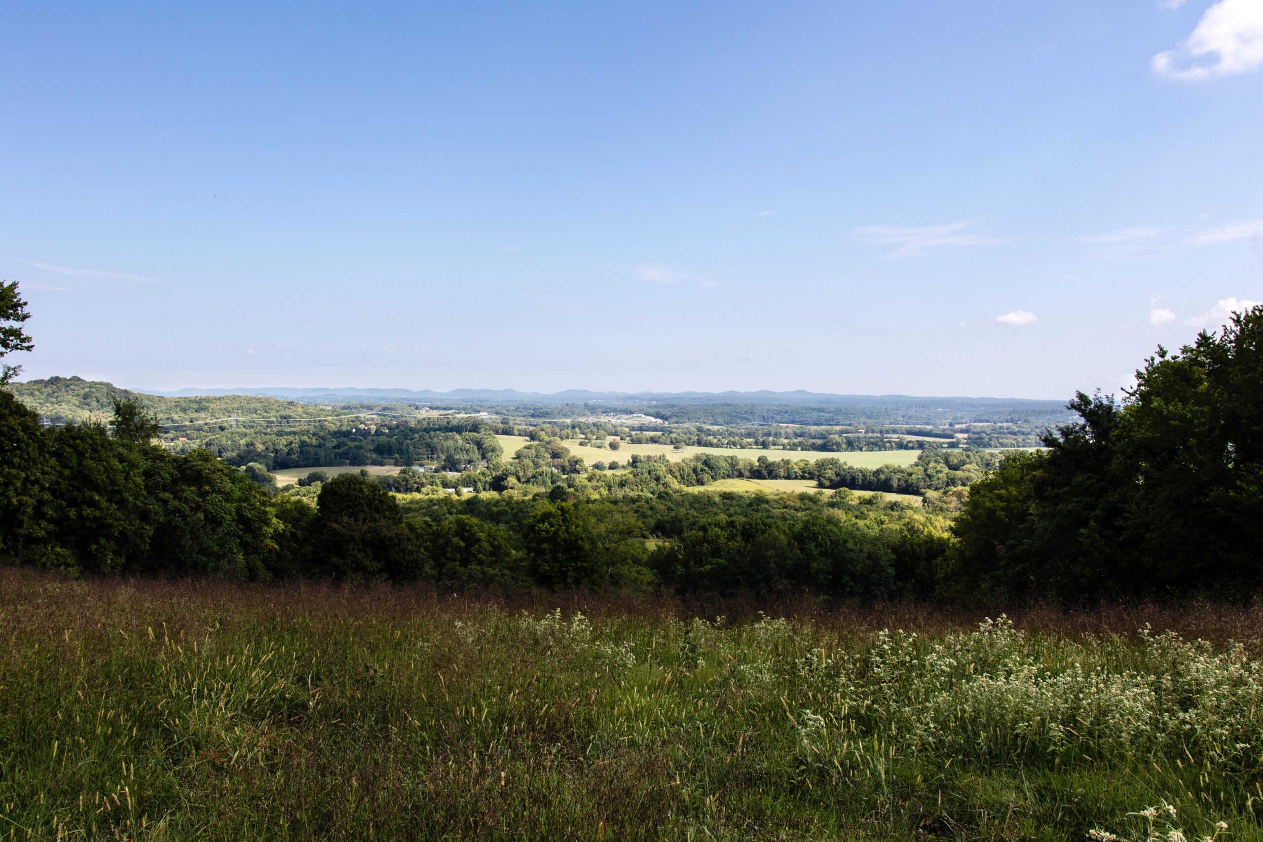 Peacock Hill Nature Park College Grove Tenn. 12
