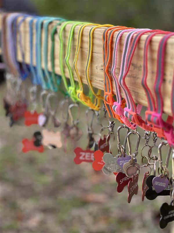 Rainbow Bridge for Williamson County Animal Center 7