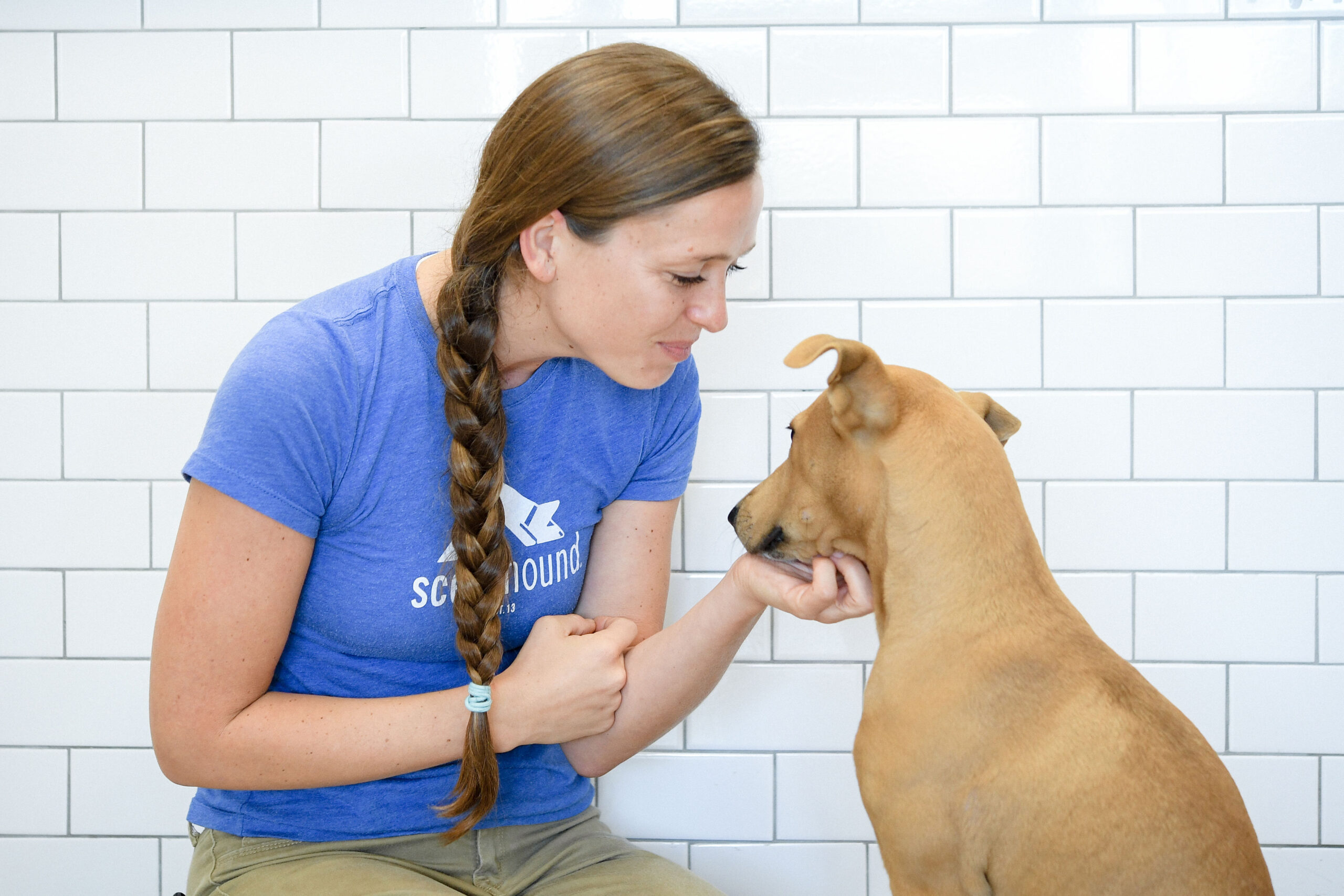 Scenthound Dog Grooming Services in Brentwood, TN-2